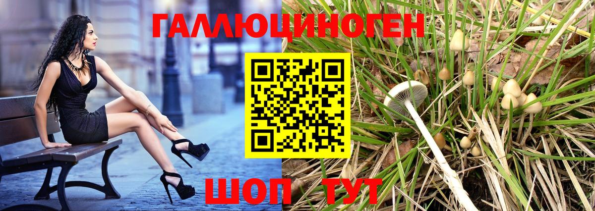 Галлюциногенные грибы Cubensis Миасс